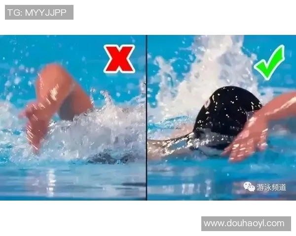 自由泳初学者入门指南如何掌握正确技巧提升游泳水平